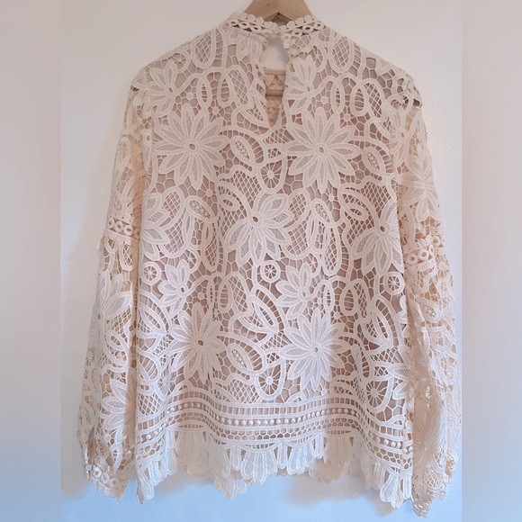 Beautiful Lace & Crochet Top - Picture 7 of 8